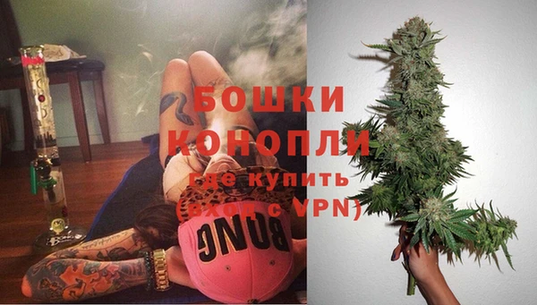 ГАЛЛЮЦИНОГЕННЫЕ ГРИБЫ Карталы