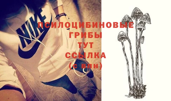 ПСИЛОЦИБИНОВЫЕ ГРИБЫ Беломорск