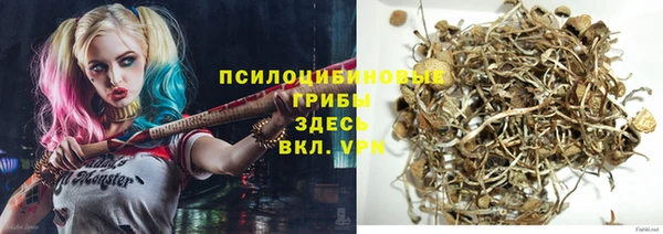 ПСИЛОЦИБИНОВЫЕ ГРИБЫ Беломорск