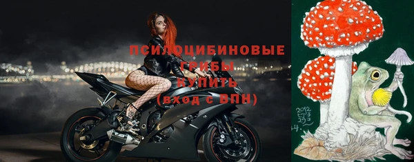 ПСИЛОЦИБИНОВЫЕ ГРИБЫ Беломорск