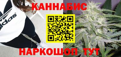 прущие грибы Гусев